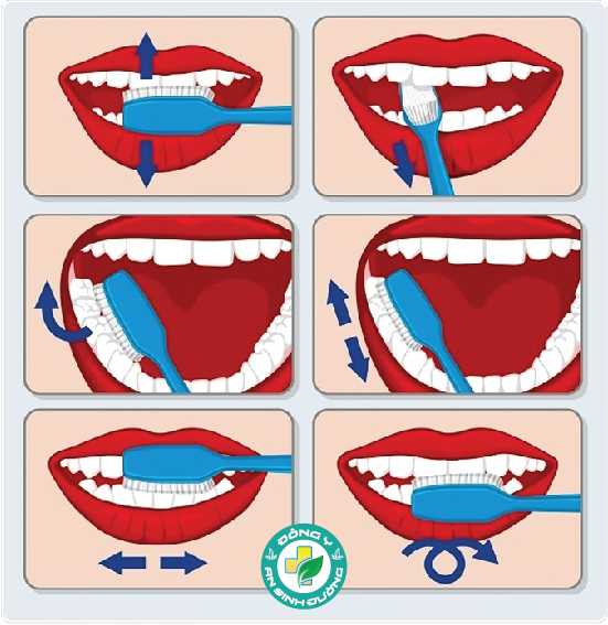 sức khỏe răng miệng khỏe mạnh