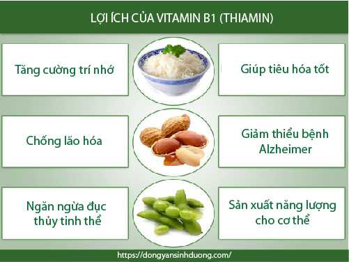 Vitamin B1 có rất nhiều công dụng