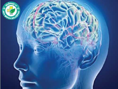 Bệnh nha chu có liên quan tới sự gia tăng beta-amyloid trong não - dấu hiệu thần kinh của bệnh Alzheimer