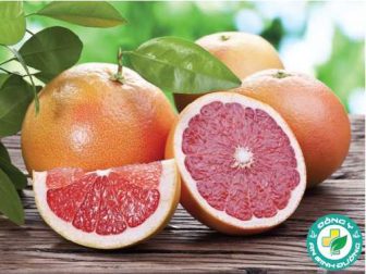 20 điều bạn nên biết về bưởi chùm