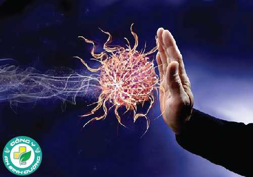 Bromelain trong dứa giúp bảo vệ chống lại bất kỳ virus bên ngoài nào ảnh hưởng đến cơ thể