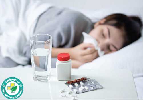 Axit Shikimic trong hoa hồi giúp phòng chống cúm