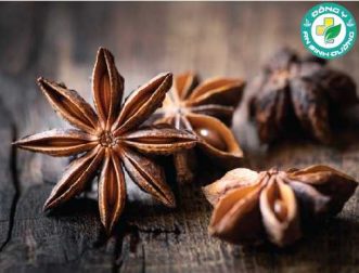 11 lợi ích của hoa hồi với sức khỏe