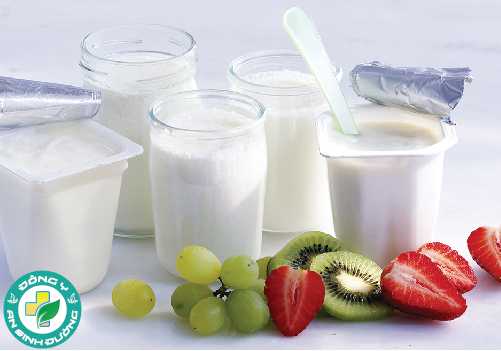 Lợi khuẩn có trong sữa chua, kim chi, miso và một số loại phô mai.