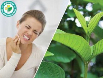 11 cách chữa đau răng tại nhà cực kỳ hiệu quả