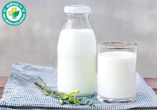 Sữa chứa nhiều chất dinh dưỡng giúp bạn tăng cân nhanh chóng