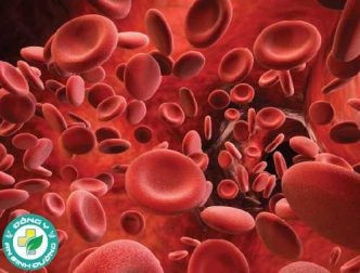 10 cách khắc phục tại nhà tốt nhất cho bệnh thiếu máu