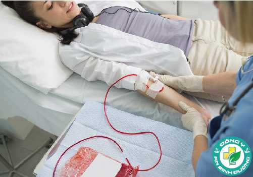 Có đến 25% dân số thế giới bị thiếu máu mà không hề hay biết