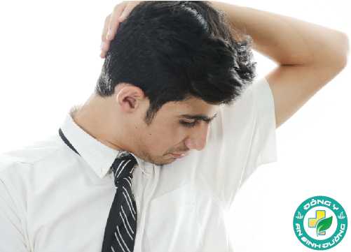 Muỗi có thể "thích" bạn vì mùi cơ thể bạn phát ra