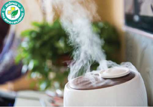 Nếu không thể chuyển đến sống nơi mát mẻ, ẩm thì hãy để một chiếc máy tạo ẩm trong nhà