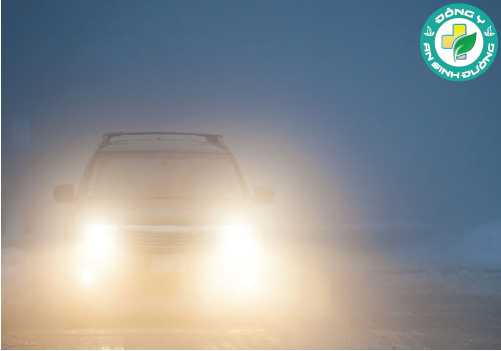 Hầu hết người bị đục tinh thể sẽ gặp khó khăn khi lái xe ban đêm