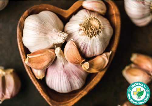 Đặc tính kháng vi-rút và kháng khuẩn của tỏi có thể giúp hỗ trợ hệ thống miễn dịch chống lại nhiễm trùng, bao gồm cảm lạnh hoặc cúm
