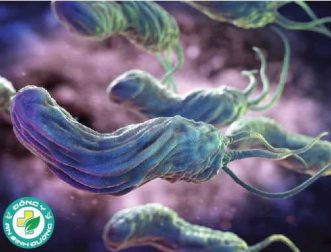 Bạn biết gì về khuẩn Helicobacter pylori?