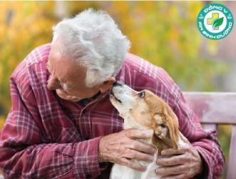 Chó làm tăng khả năng sống sót sau đau tim hoặc đột quỵ