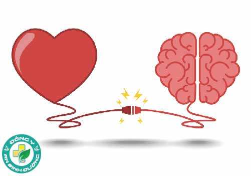 Có mối liên hệ chặt chẽ giữa sức khỏe tim mạch và não bộ