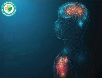 Sức khỏe của tim và não có liên quan, nhưng điều gì ảnh hưởng đến cả hai?