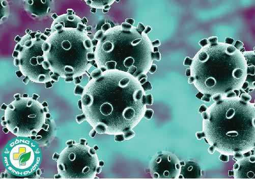 Virus corona mới có nguồn gốc từ Vũ Hán, Trung Quốc