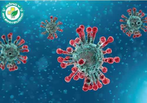 Nghiên cứu mới trên động vật cho thấy rằng việc nhiễm virus corona mới có thể bảo vệ cơ thể khỏi tái nhiễm