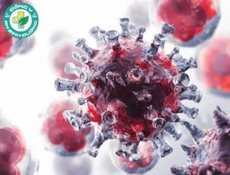 Nhiễm SARS-CoV-2 có thể bảo vệ chống lại sự tái nhiễm trong tương lai