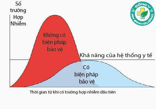 Biểu đồ so sánh có và không có biện pháp bảo vệ