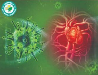 Virus corona và sức khỏe tim mạch