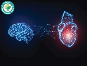 Trái tim thay đổi nhận thức cảm giác của chúng ta như thế nào?