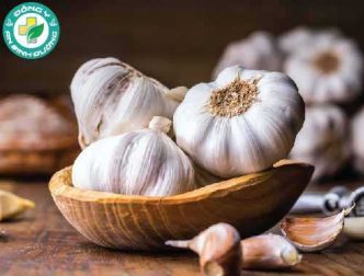 11 Lợi ích sức khỏe đã được chứng minh của tỏi
