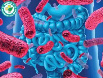 Probiotic có thể làm giảm triệu chứng trầm cảm