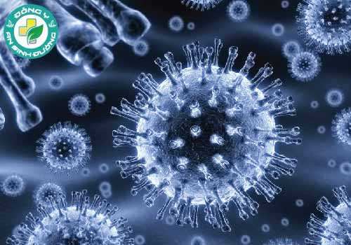 Hội chứng suy giảm miễn dịch mắc phải ở người (bệnh AIDS) là do vi rút có tên HIV gây ra